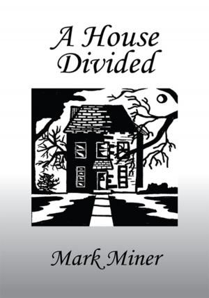 Cover of the book A House Divided by David Reindel