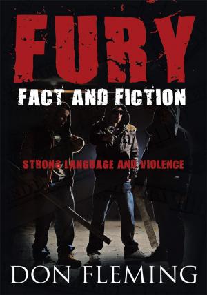 Cover of the book Fury by Patricia Burns