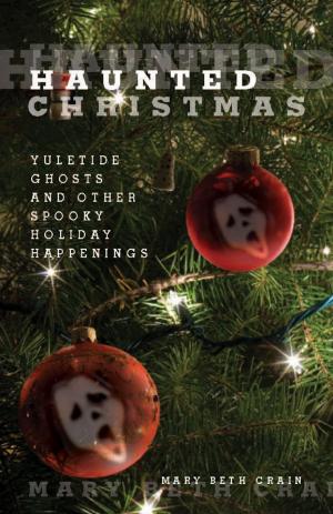 Book cover of Haunted Christmas