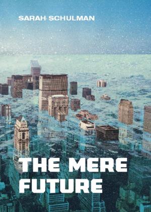 Cover of the book The Mere Future by Don Sawyer