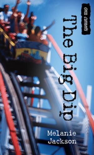 Cover of the book The Big Dip by Judith Graves