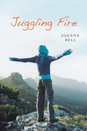 Cover of the book Juggling Fire by Brian Harvey