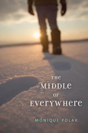 Cover of the book The Middle of Everywhere by Erinne Paisley