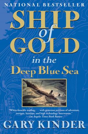 Cover of the book Ship of Gold in the Deep Blue Sea by J. P. Donleavy