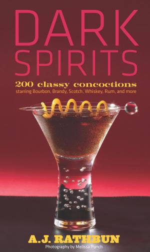 Cover of the book Dark Spirits by Kathleen Huggins, Linda Ziedrich