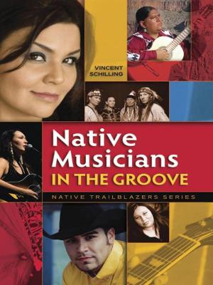 bigCover of the book Native Musicians in the Groove by 