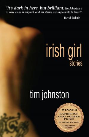 Cover of the book Irish Girl: Stories by Roderic Ai Camp