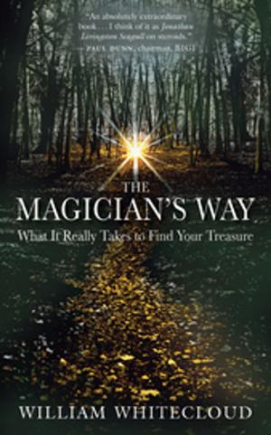 Cover of the book The Magician's Way by Frank MacEowen