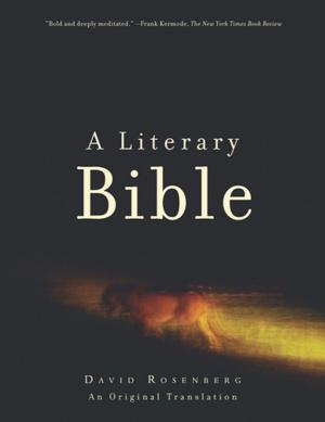 Book cover of A Literary Bible