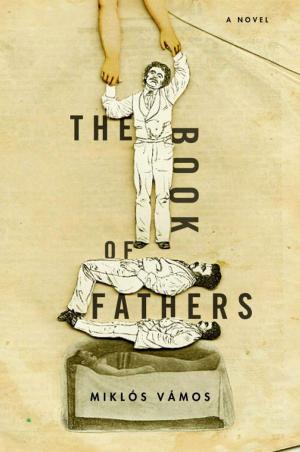 Cover of the book The Book of Fathers by Anka Muhlstein