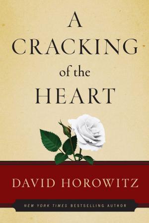 bigCover of the book A Cracking of the Heart by 