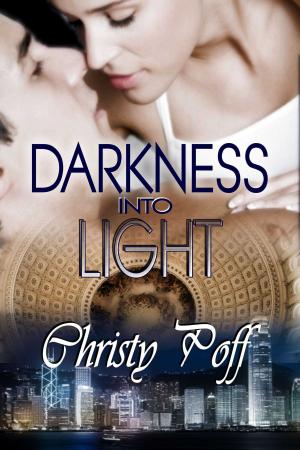 Cover of the book Darkness Into Light by Susan K. Droney