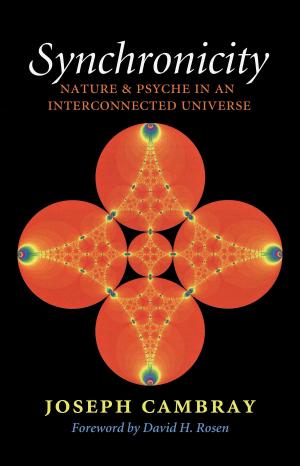 Cover of the book Synchronicity by Hon. Chase Untermeyer