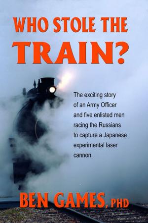 Book cover of Who Stole the Train?