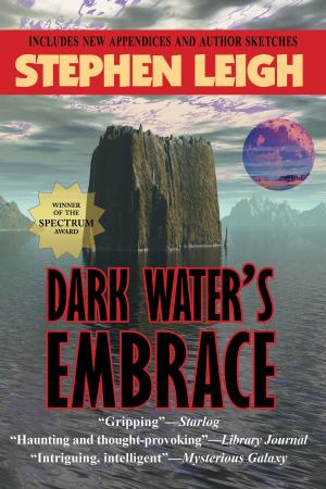 Cover of the book Dark Water's Embrace by Catherine Wells