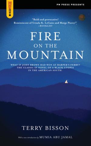 Cover of the book Fire on the Mountain by John King