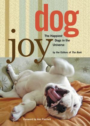 Cover of the book DogJoy by Karen Lee