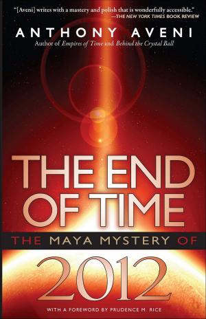 Cover of the book The End of Time by 