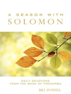 Cover of the book A Season with Solomon by Lisa Harper Lerner