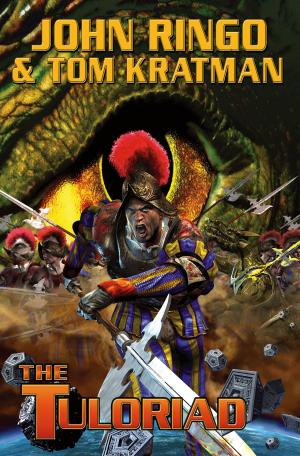 Cover of the book The Tuloriad by Susan R. Matthews