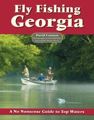Book cover of Fly Fishing Georgia
