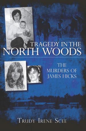 Book cover of Tragedy in the North Woods