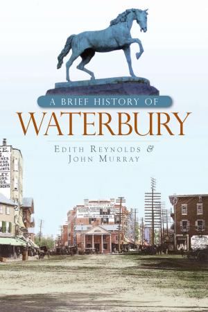 Book cover of A Brief History of Waterbury