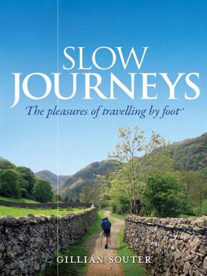 Cover of the book Slow Journeys by Lisa Heidke