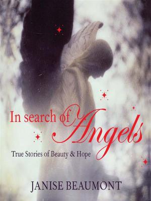 Cover of the book In Search of Angels by Sheila Burke