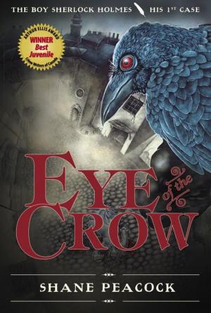 Book cover of Eye of the Crow