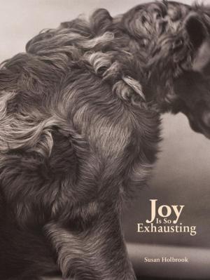 Cover of the book Joy Is So Exhausting by John Goldbach