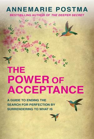 Cover of the book The Power of Acceptance by Stephen Sturgess