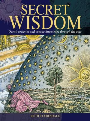 Cover of the book Secret Wisdom by Sue Dumais