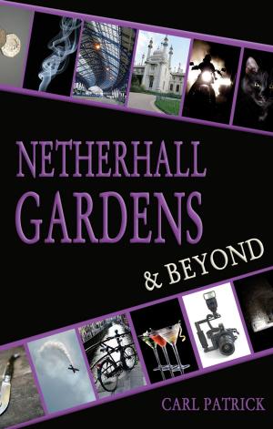 Book cover of Netherhall Gardens & Beyond