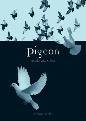 Cover of the book Pigeon by Brett Mizelle