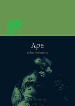 Cover of the book Ape by Jane Garnett, Gervase Rosser
