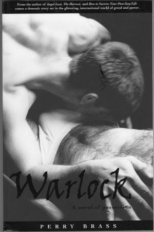 Book cover of Warlock, A Novel of Possession