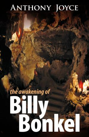 Cover of The Awakening of Billy Bonkel