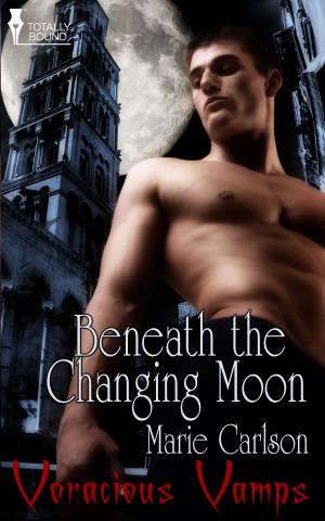 Cover of the book Beneath the Changing Moon by Kat Black