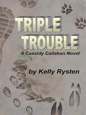 Cover of the book Triple Trouble: A Cassidy Callahan Novel by Edward Galluzzi