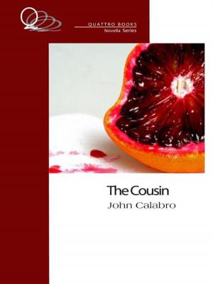 Cover of the book The Cousin by Terri Favro