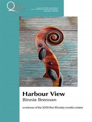 Cover of the book Harbour View by Amela Marin