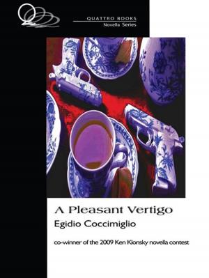 Cover of the book A Pleasant Vertigo by Eric Wright