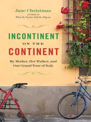 Book cover of Incontinent on the Continent