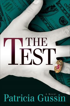 Cover of the book The Test by David Putnam