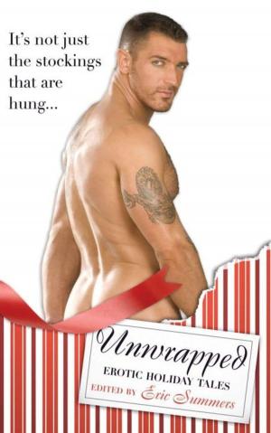 Book cover of Unwrapped