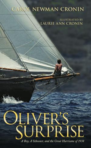 Cover of the book Oliver's Surprise by Virginie Raguenaud