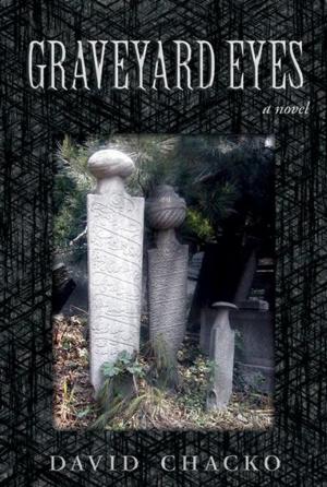 Book cover of Graveyard Eyes