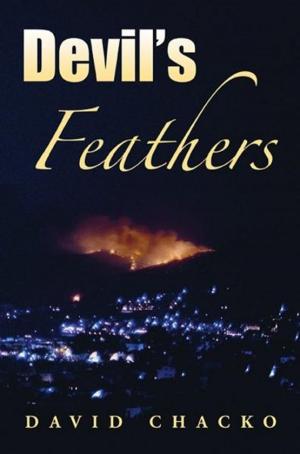 bigCover of the book Devil's Feathers by 