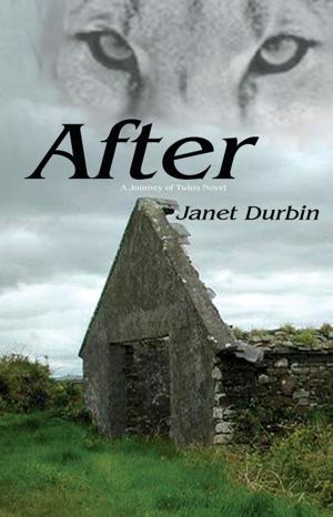 Cover of the book After by Stephen O'Sullivan